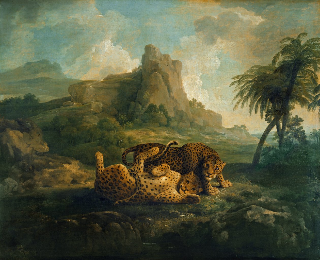 Tygers at Play, c.1763-8 af George Stubbs