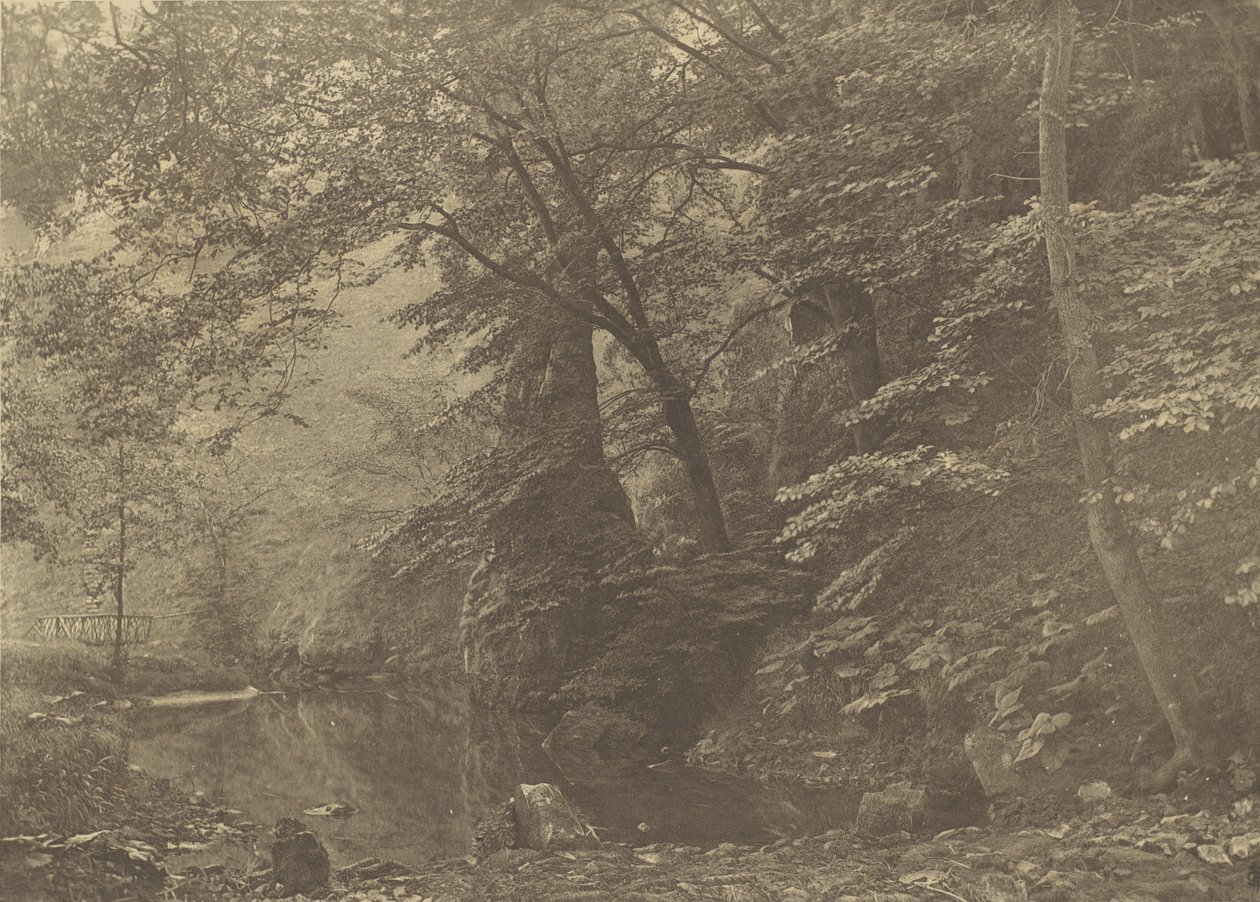 Pike Pool, 1880
