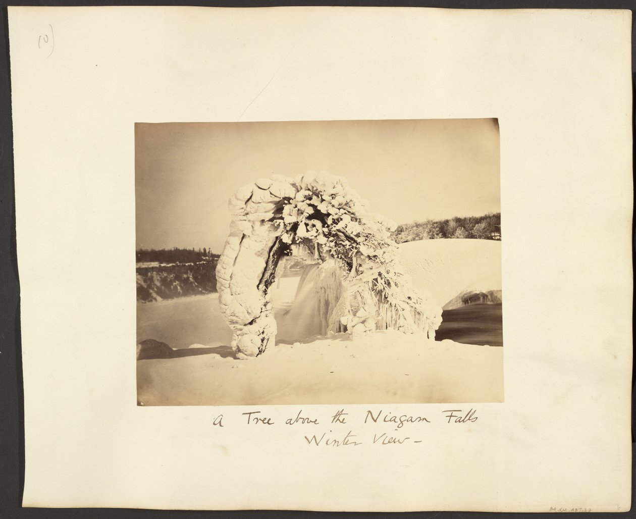 Et træ over Niagara-vandfaldene af George Barker