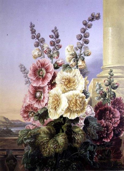 Stokroser (farve litho) af George Baxter