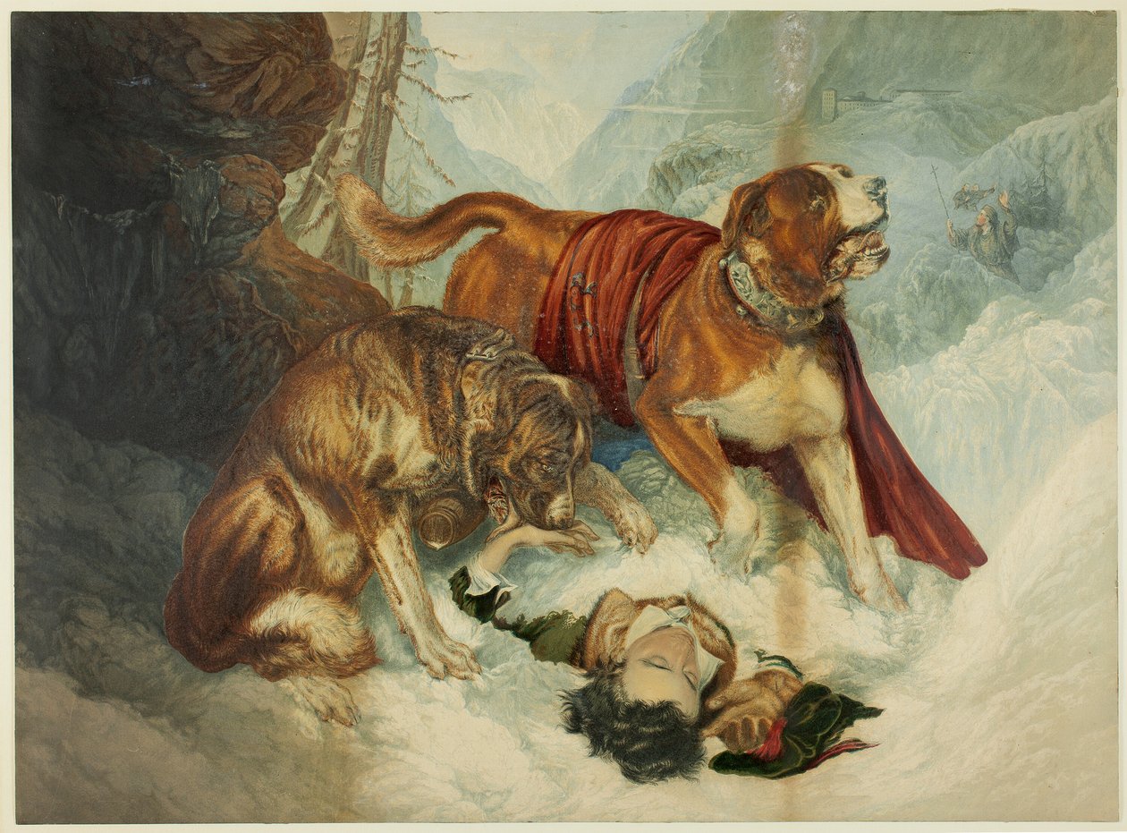 Hundene i St. Bernard af George Baxter