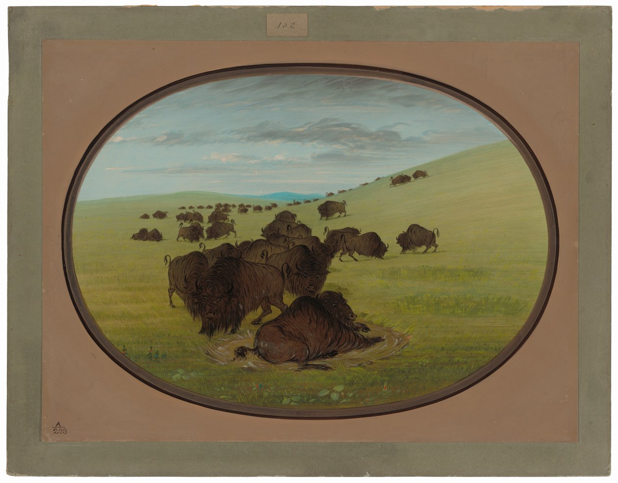 En Buffalo Wallow af George Catlin