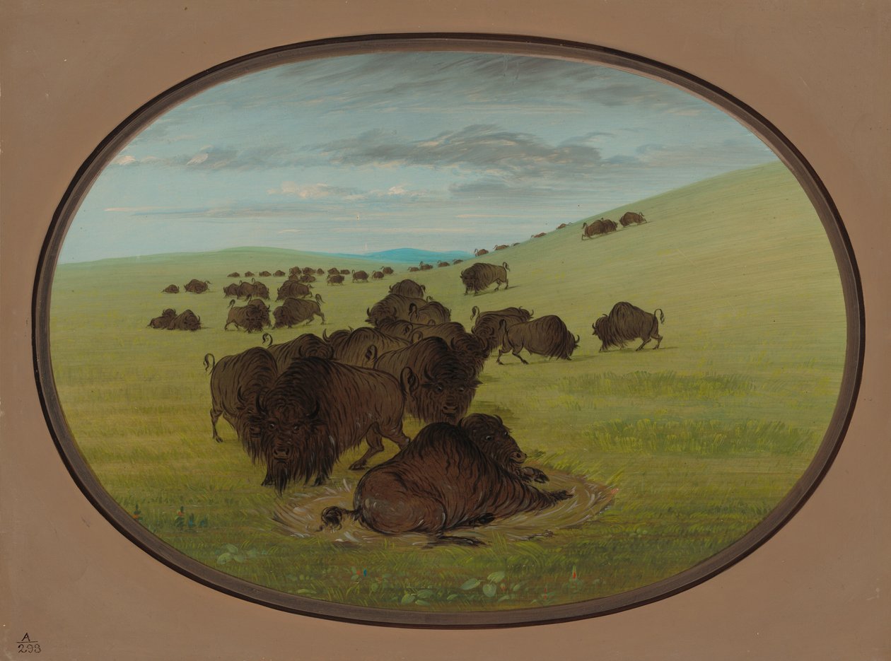 A Buffalo Wallow, 18611869. af George Catlin