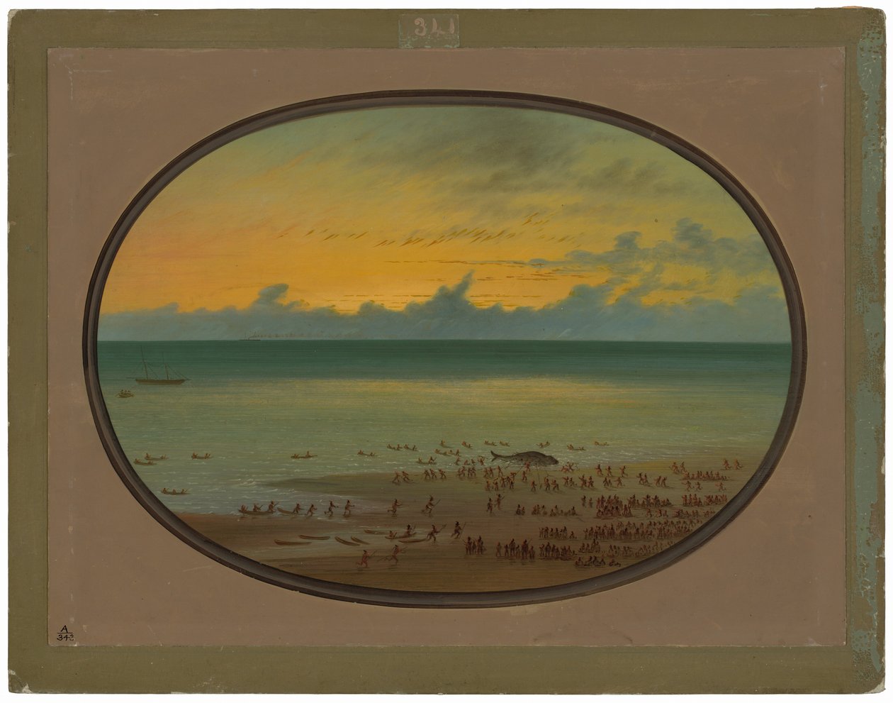 En hval i land - Klahoquat af George Catlin