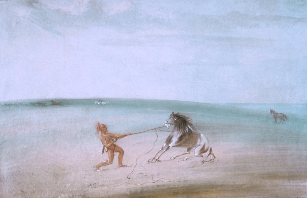 Nedbrydning af den vilde hest af George Catlin
