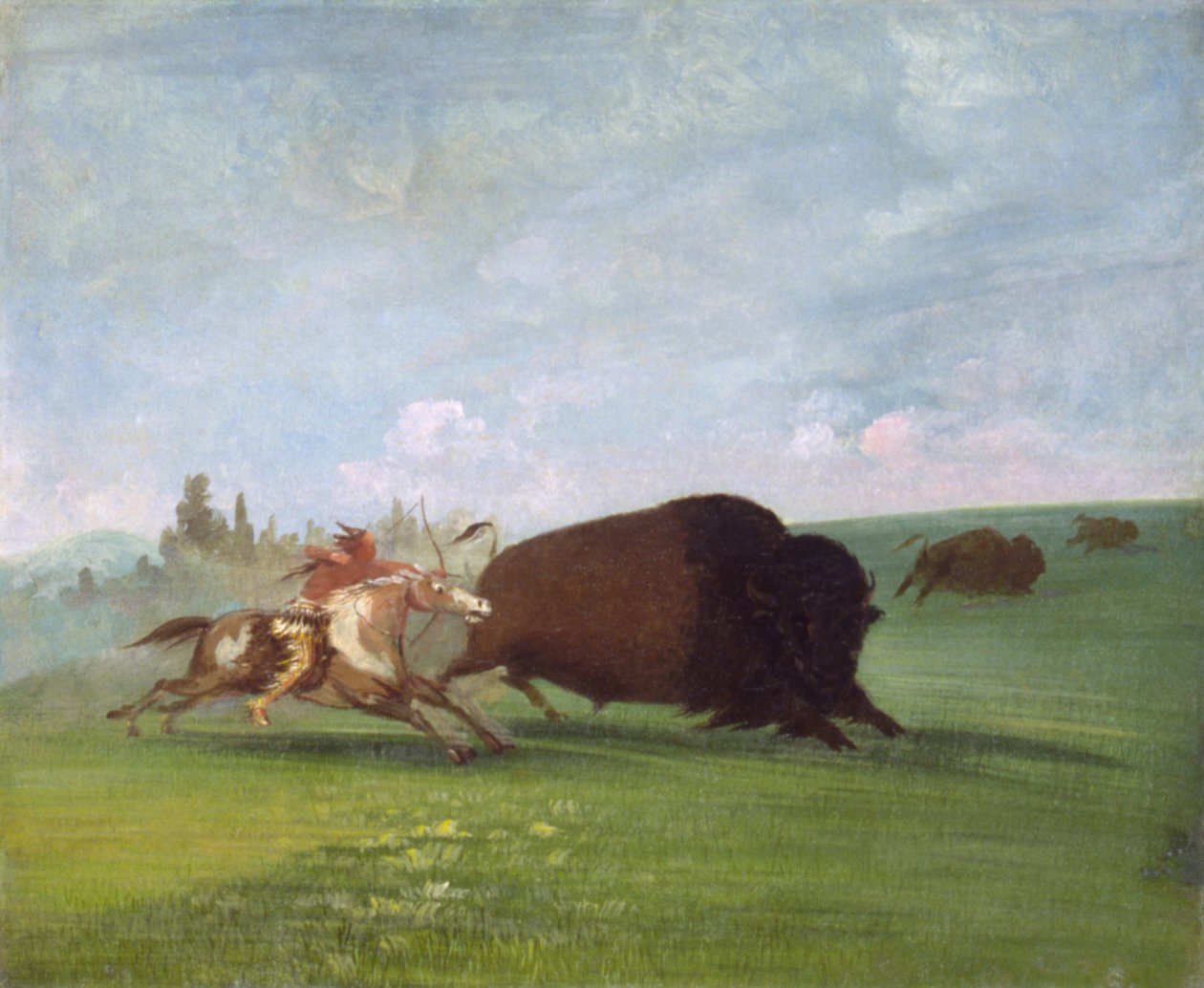 Buffalo Chase, en enkelt død af George Catlin