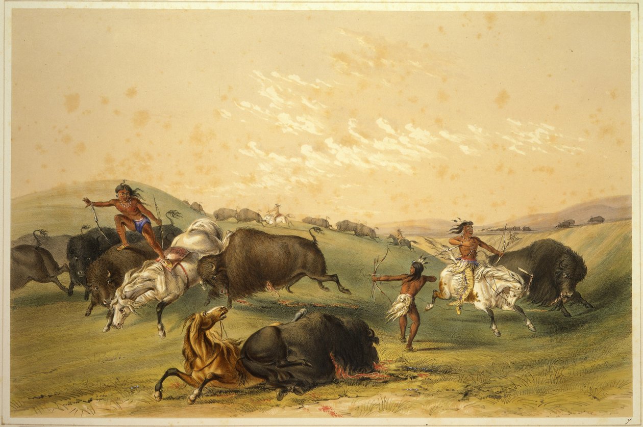 Bøffeljagt: En talrig gruppe af George Catlin