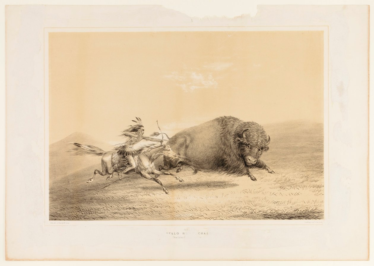 Bøffeljagt, jagt nr. 5 af George Catlin