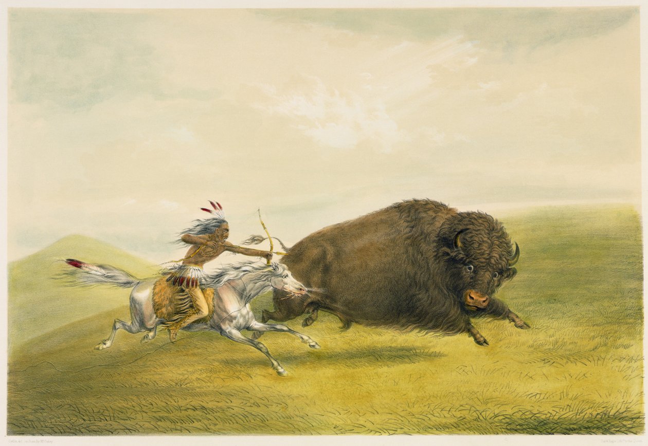 Buffalo Hunt Chase (farvelitografi) af George Catlin