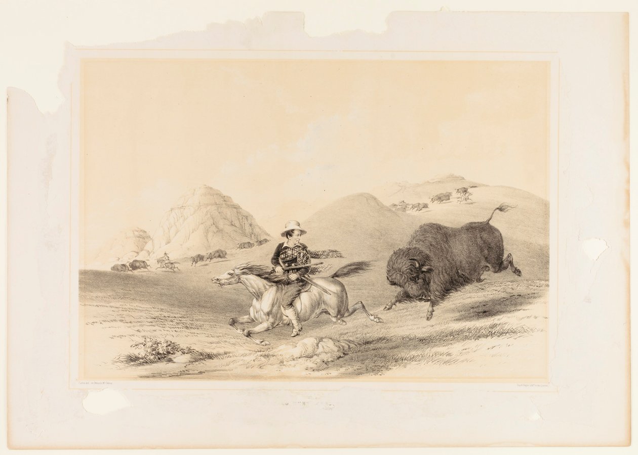 Bøffeljagt på vej tilbage nr. 12 af George Catlin