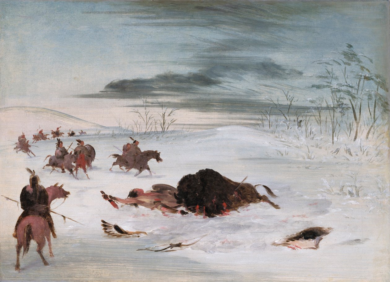 Døende bøffeltyr i en snedrive af George Catlin