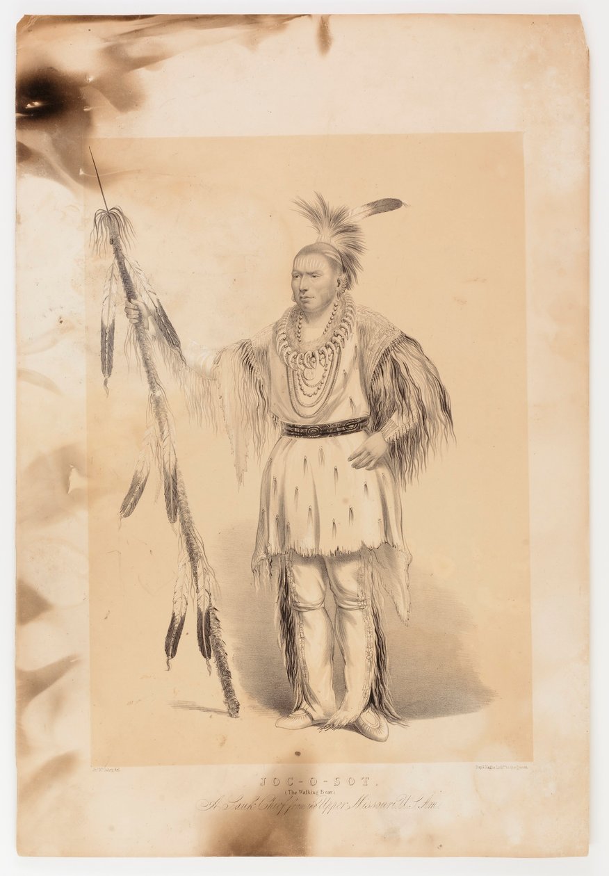 Joc-o-sot, den vandrende bjørn af George Catlin