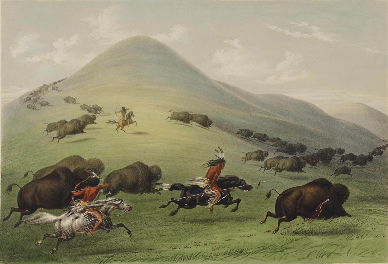 Bøffeljagten af George Catlin