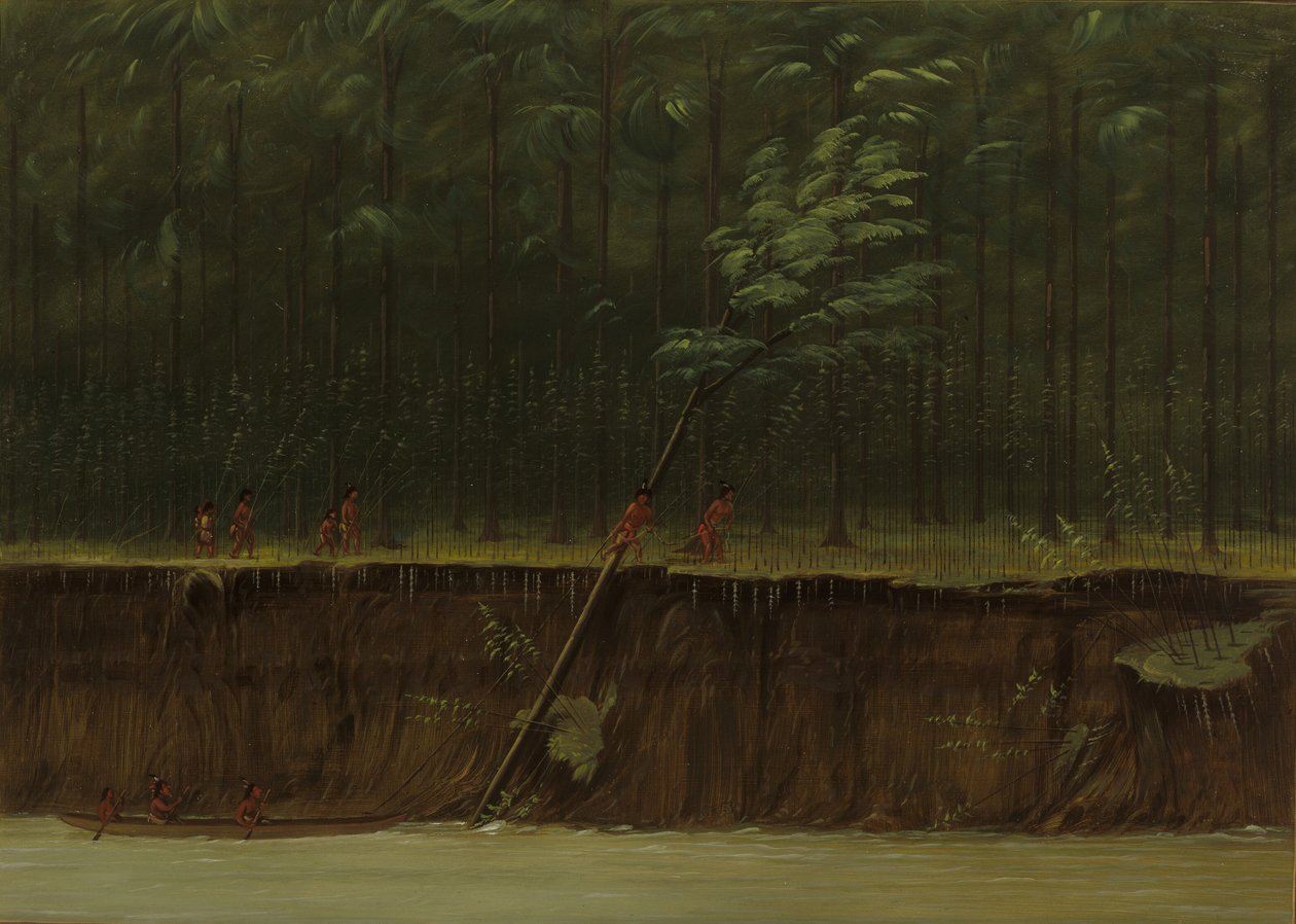 Udsigt over Nedre Mississippi, 18611869. af George Catlin