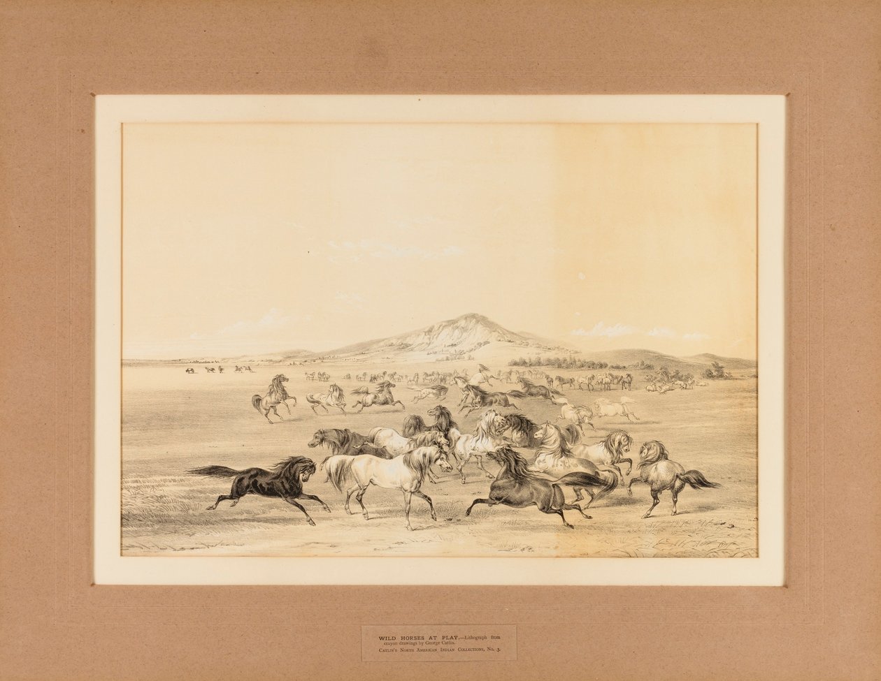 Vilde heste i leg - nr. 3 af George Catlin