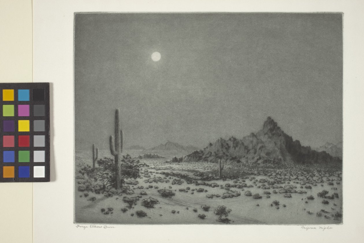 Arizona nat af George Elbert Burr