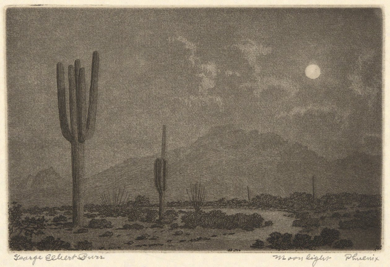 Moonlight-Phoenix af George Elbert Burr