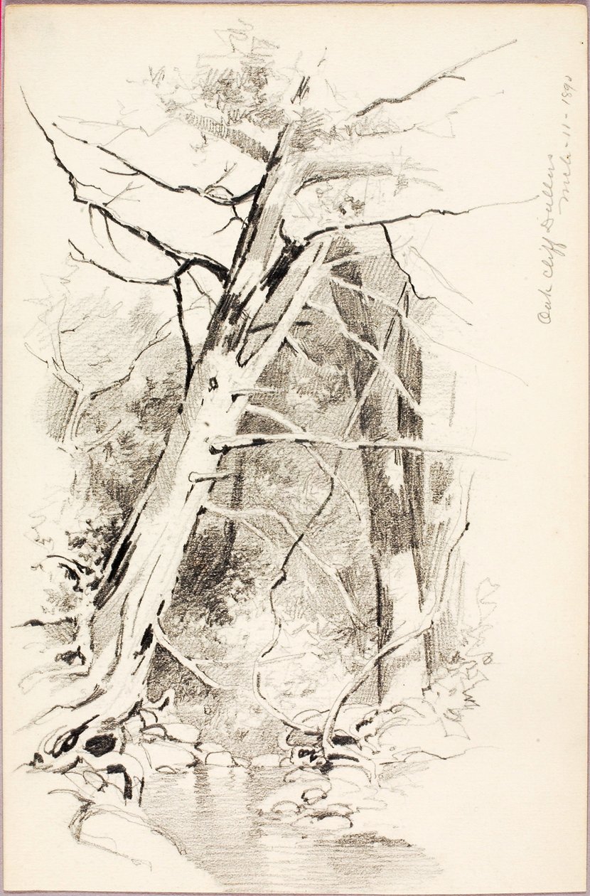 Oak Cliff, Dallas af George Elbert Burr