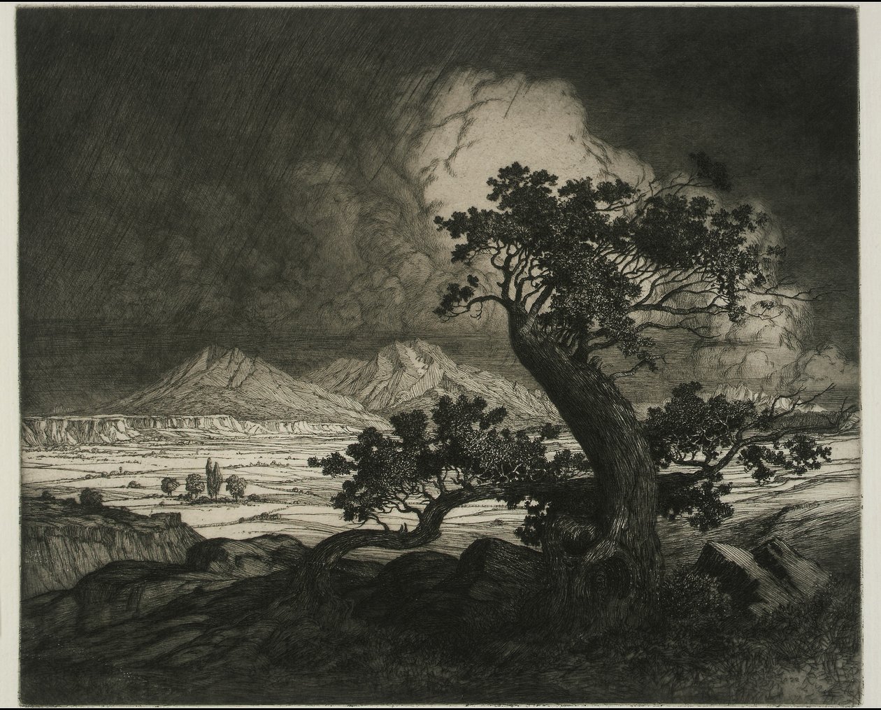 Old Cedars og Spanish Peaks af George Elbert Burr
