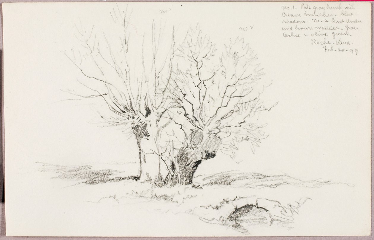 Roche Vaud af George Elbert Burr