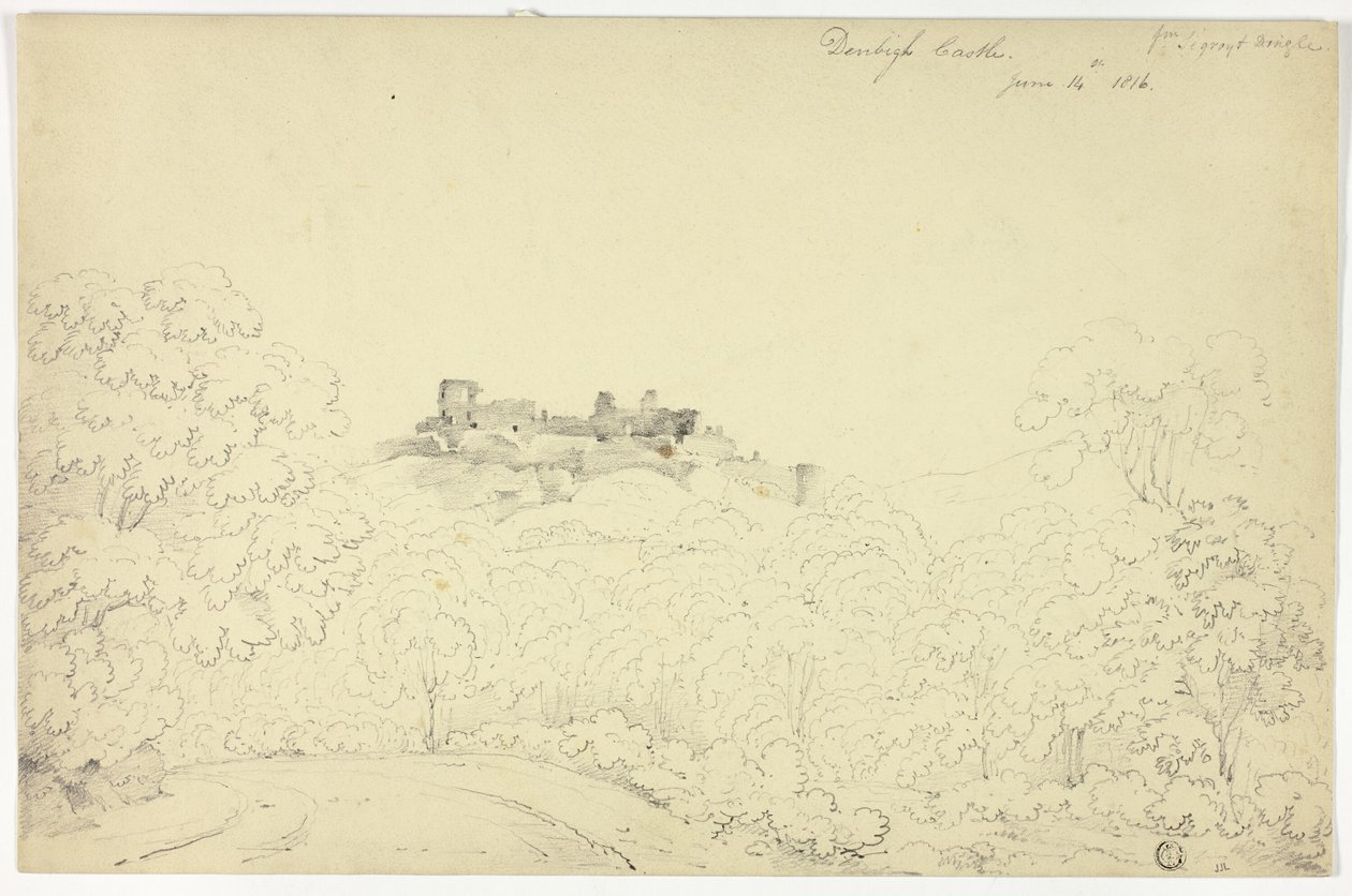 Denbigh Castle fra Segroyt Dingle af George Fennel Robson