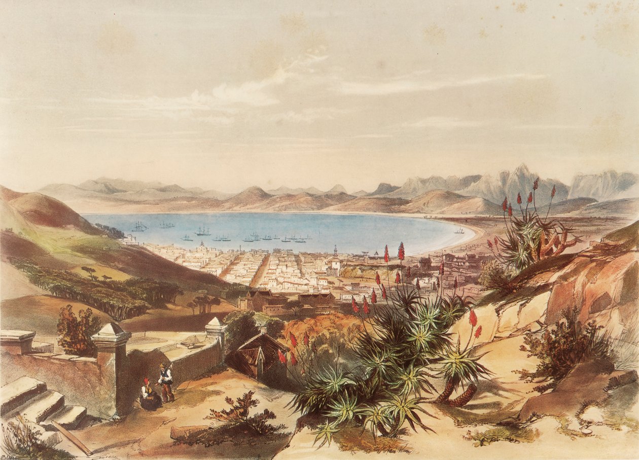 Cape Town af George French Angas