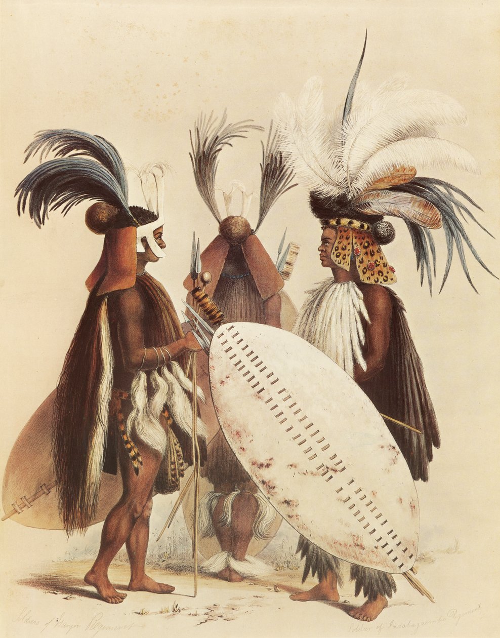 Zulu-hæren af George French Angas