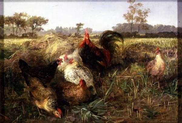 Høns i skægstubbe af George Hickin