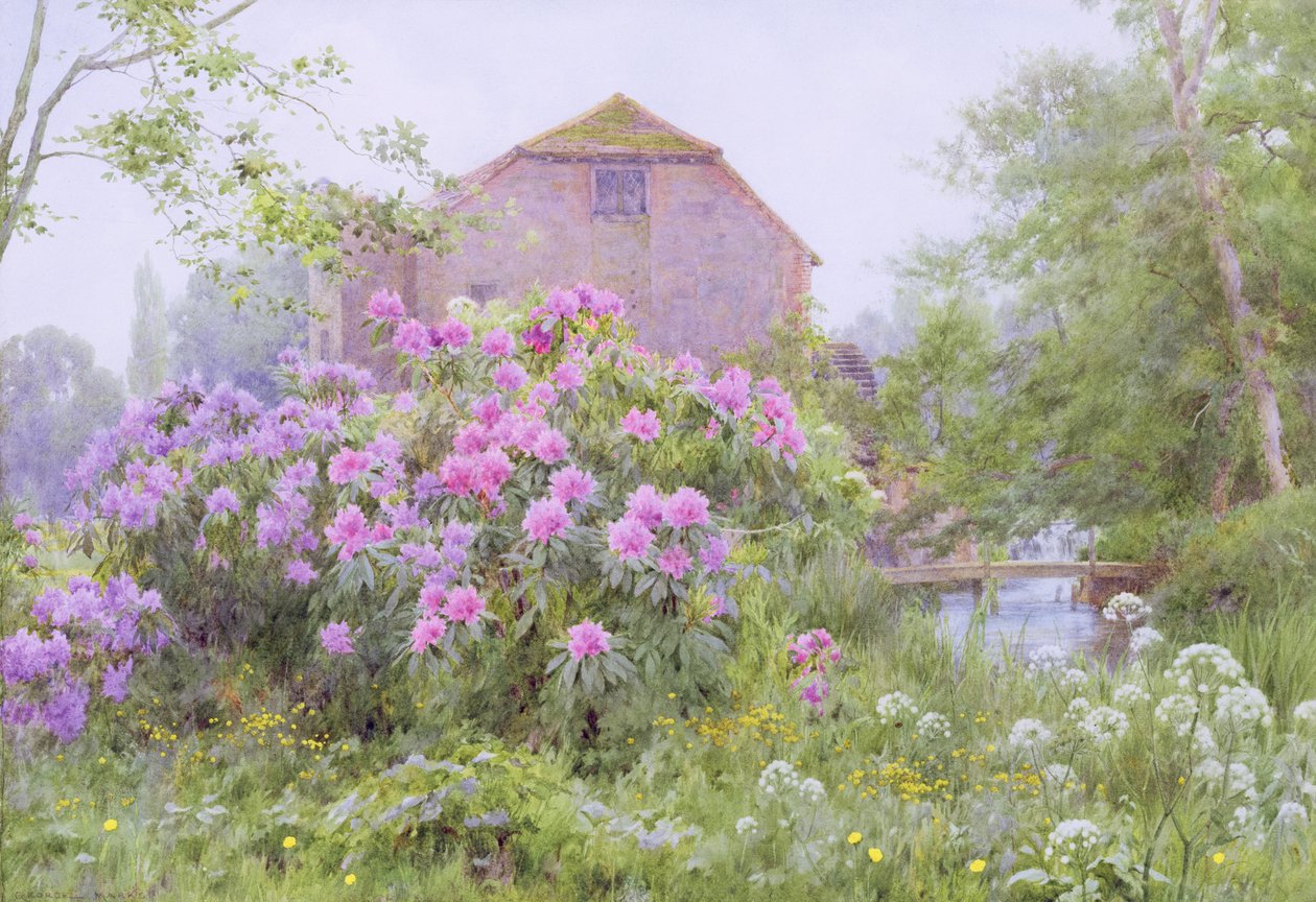 Rhododendron ved en vandmølle af George Marks