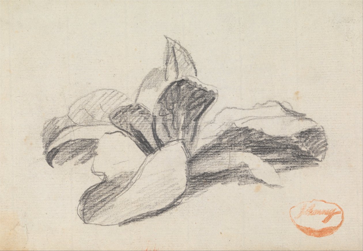 Undersøgelse af blade 2 af George Romney
