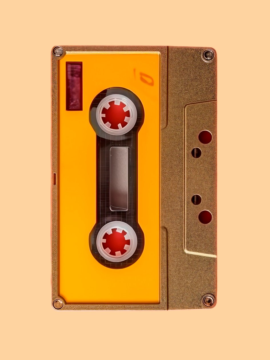 Vinyl Cassette, 2024 (akryl på lærred) af George Rosaly