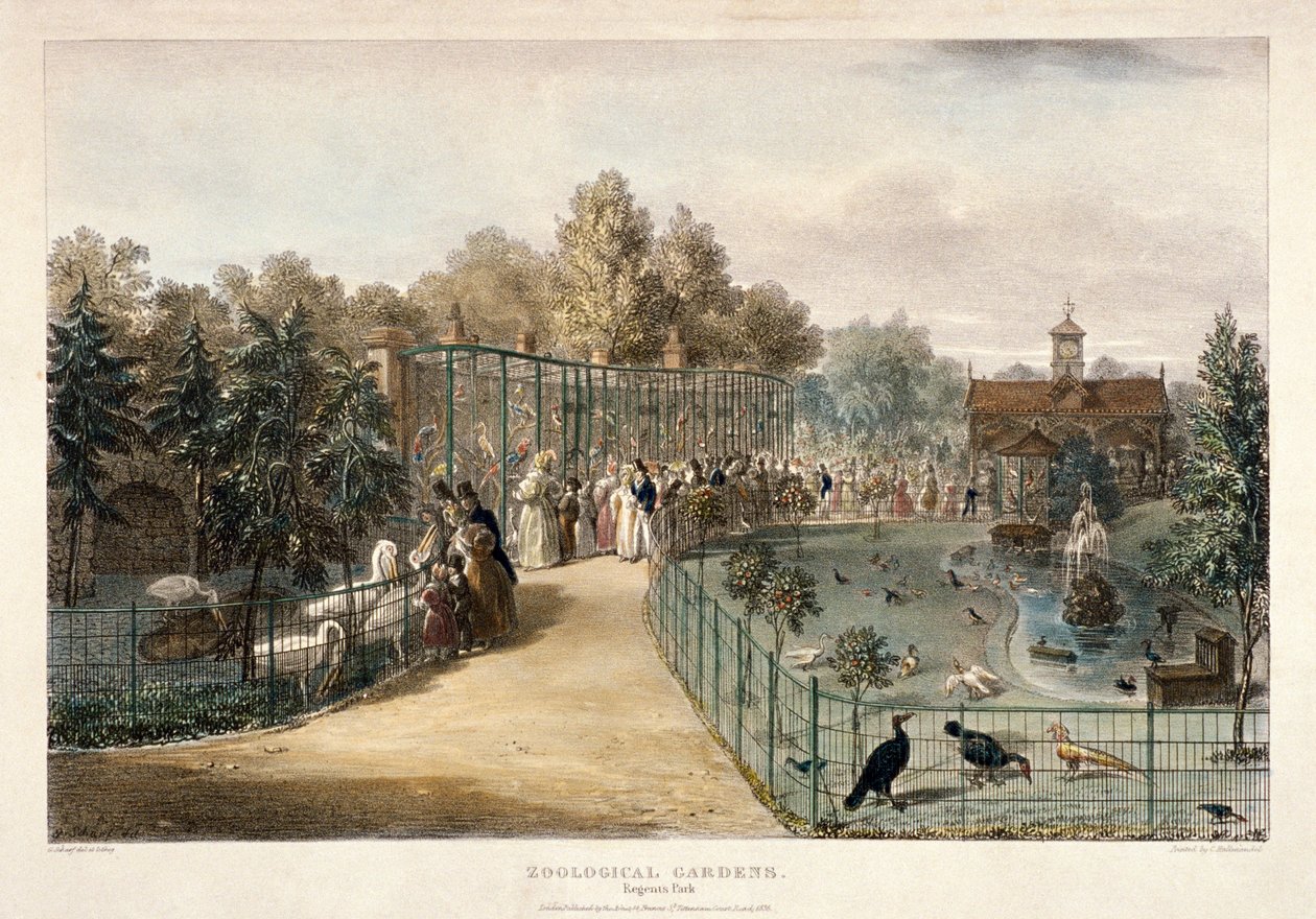 Zoologisk have, Regent