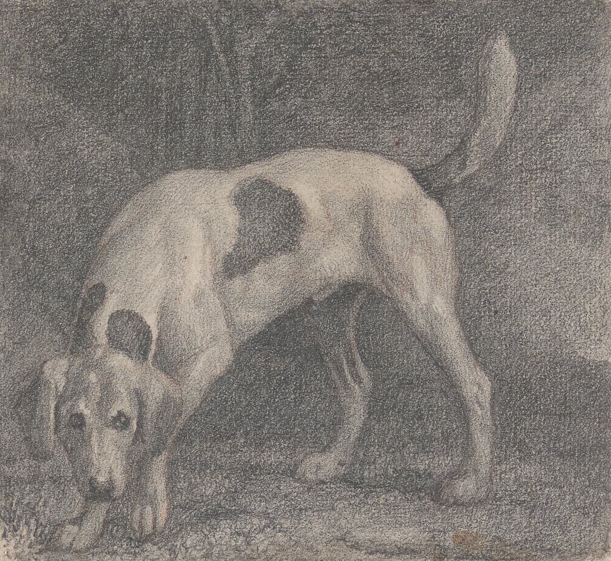 En rævehund på duften af George Stubbs