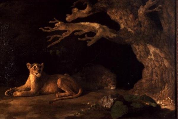 En løve og en løvinde af George Stubbs