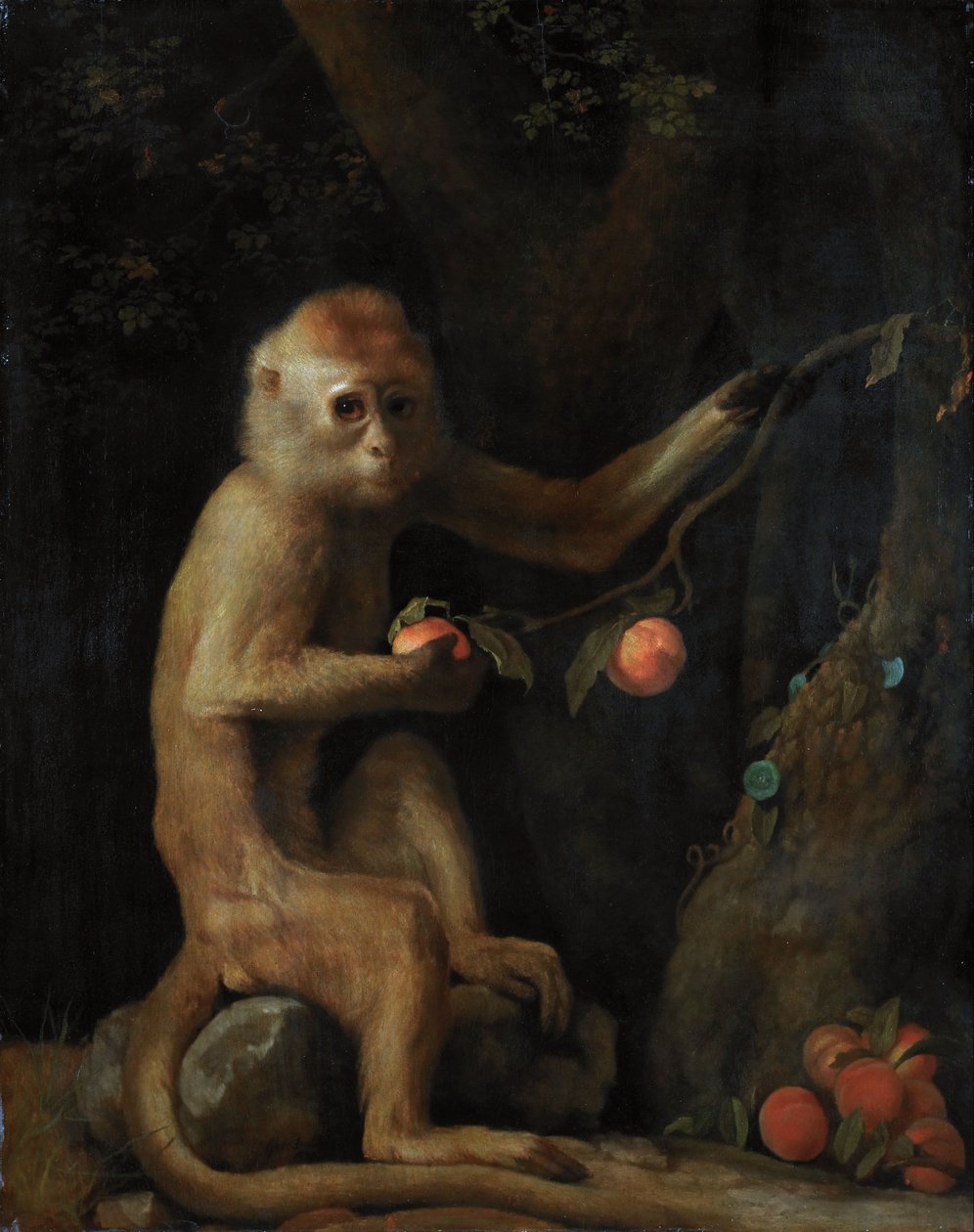 En abe af George Stubbs