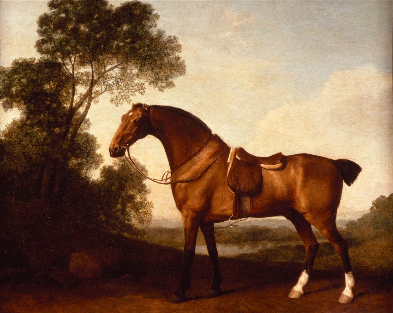 En sadlet bugtjæger af George Stubbs