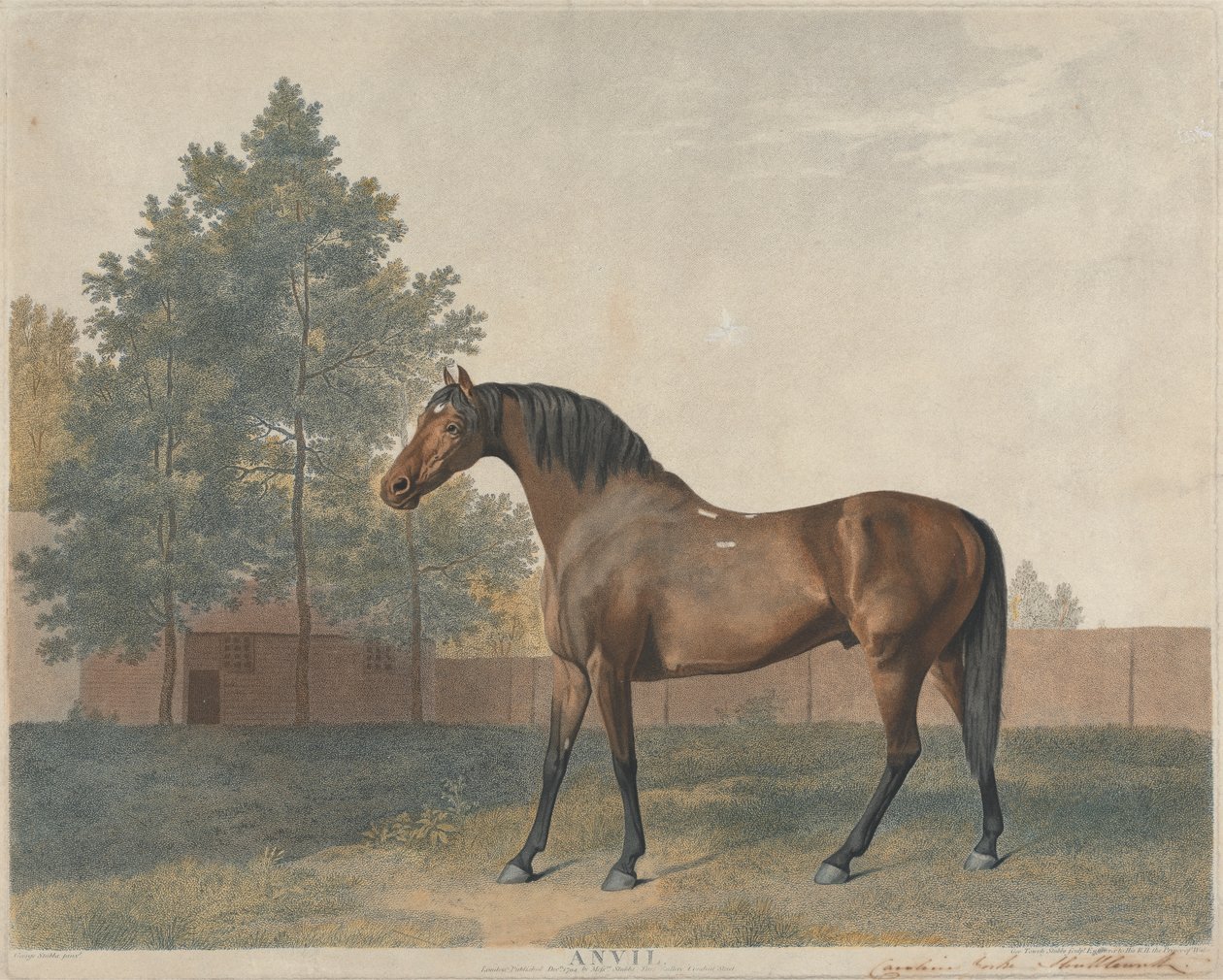 "Ambolt" af George Stubbs