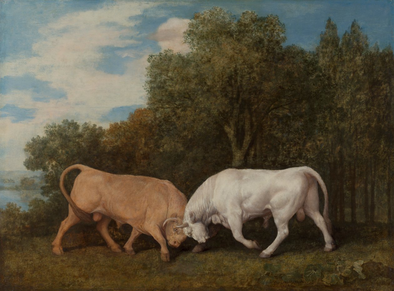 Tyre kæmper af George Stubbs