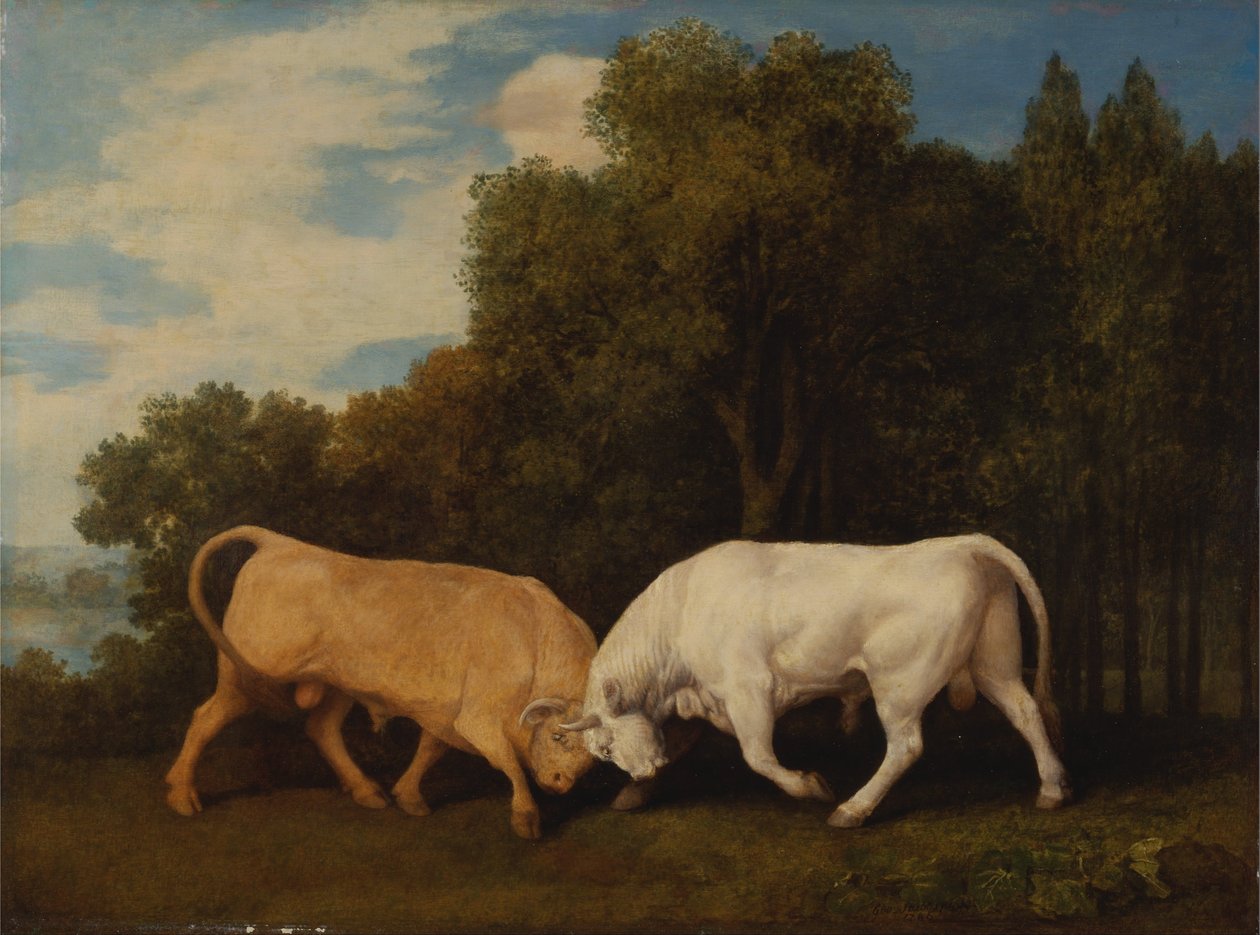 Tyre i kamp af George Stubbs