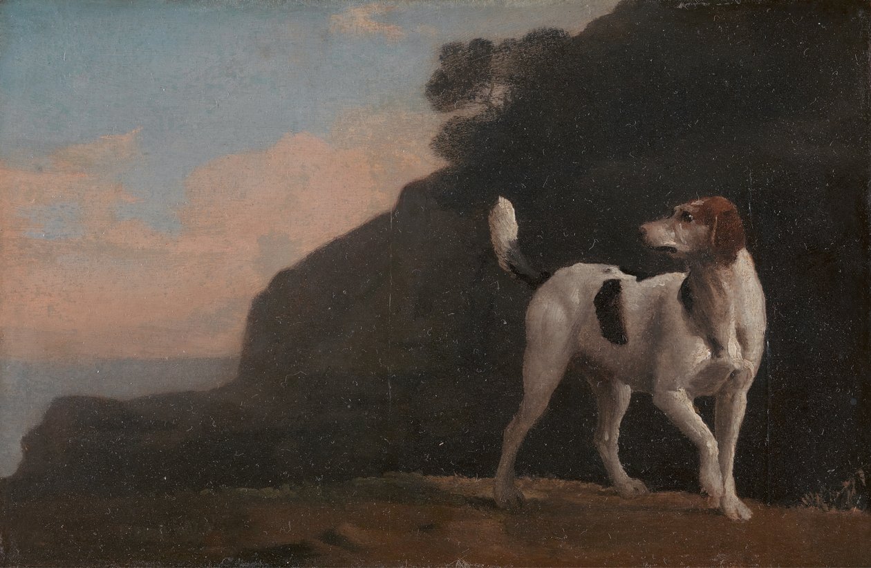 Foxhound, En Foxhound, ca. 1760. af George Stubbs