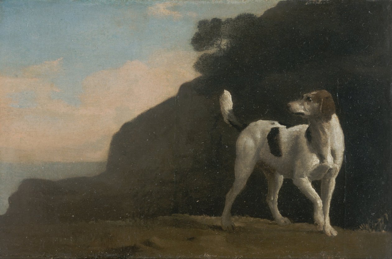 Rævehund af George Stubbs