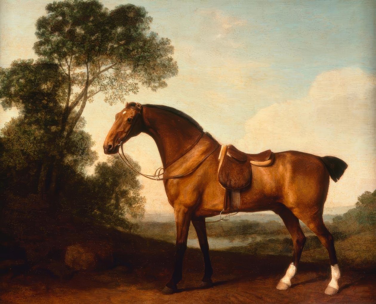 G. Stubbs, en sadlet bugtjæger af George Stubbs