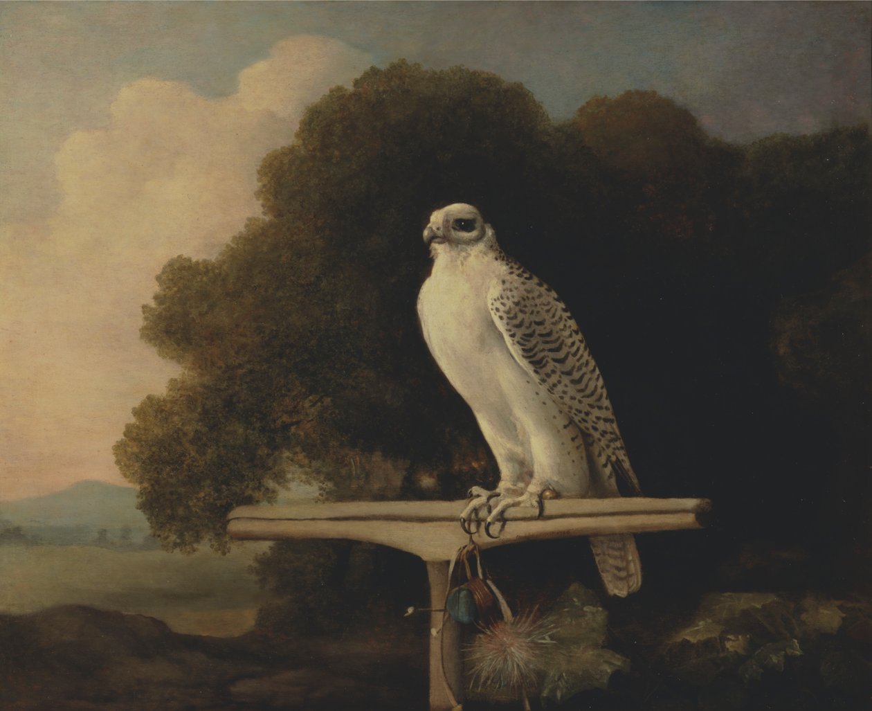 Grønlandsfalk af George Stubbs