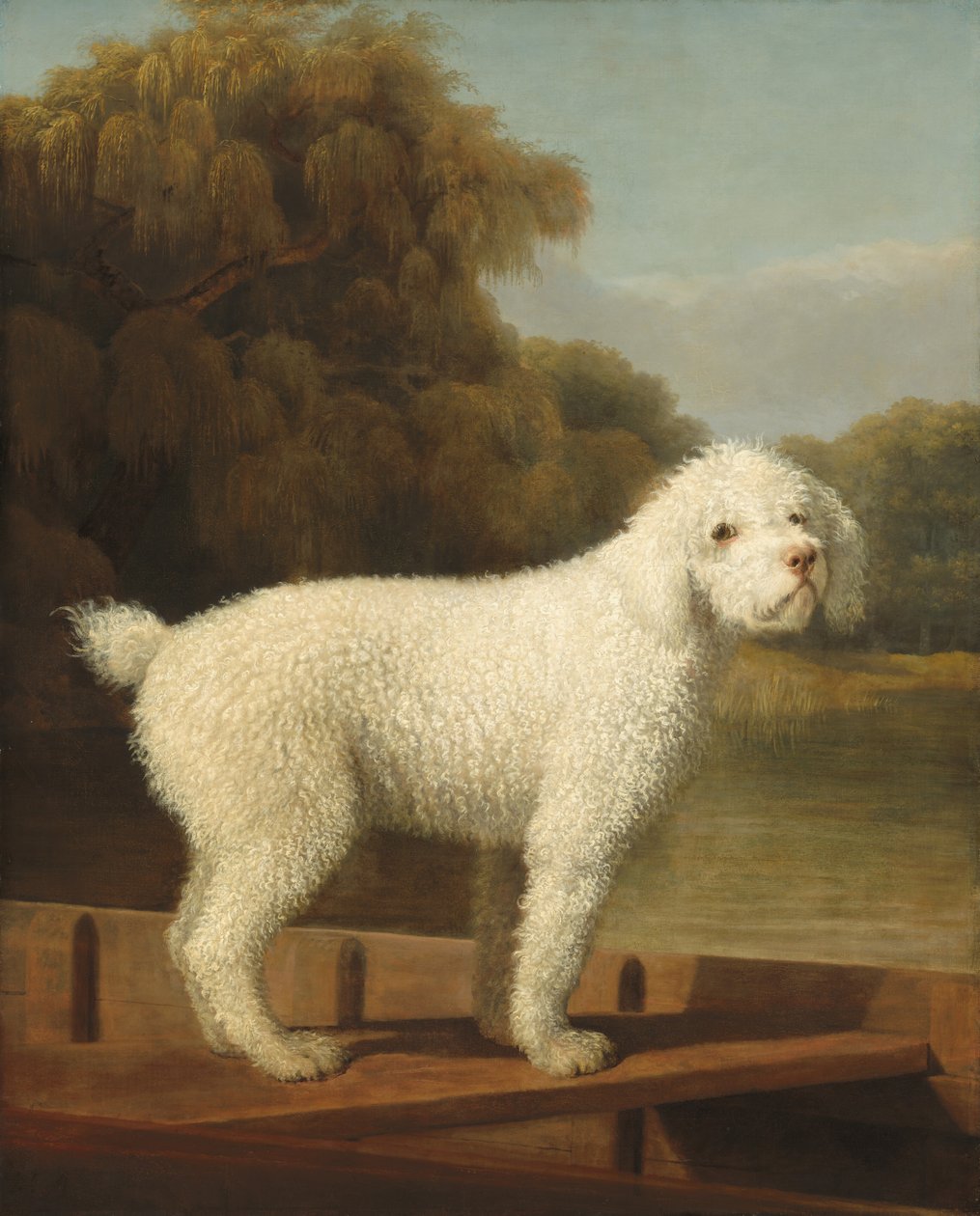 Hvid puddel i en spids af George Stubbs