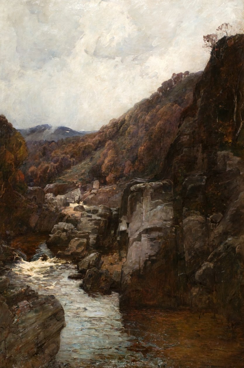 The Falls of Tummel af George Whitton Johnstone