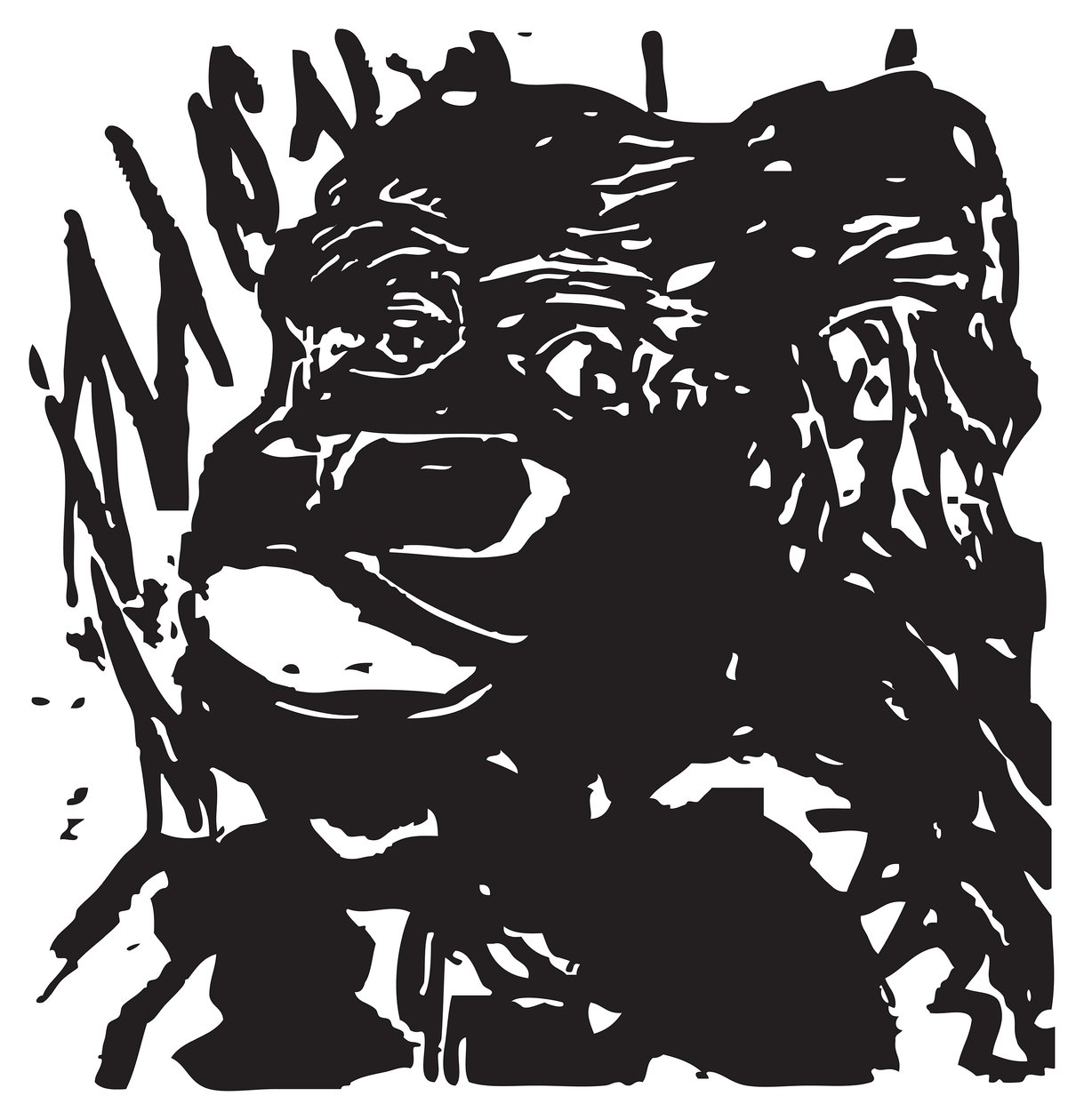 Coy Gorilla af Gerhardt Isringhaus