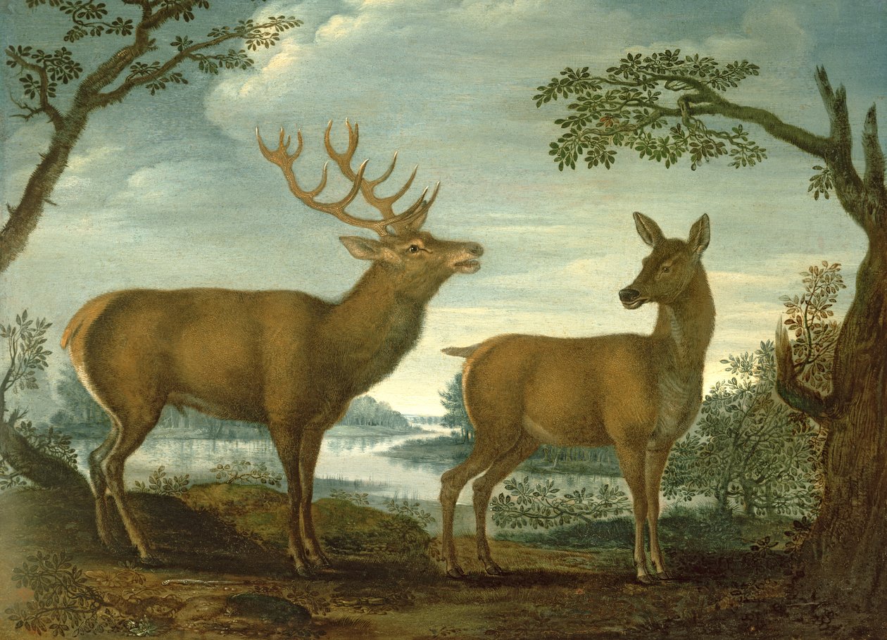 Hjort og hind i et skovklædt landskab (panel) af German School