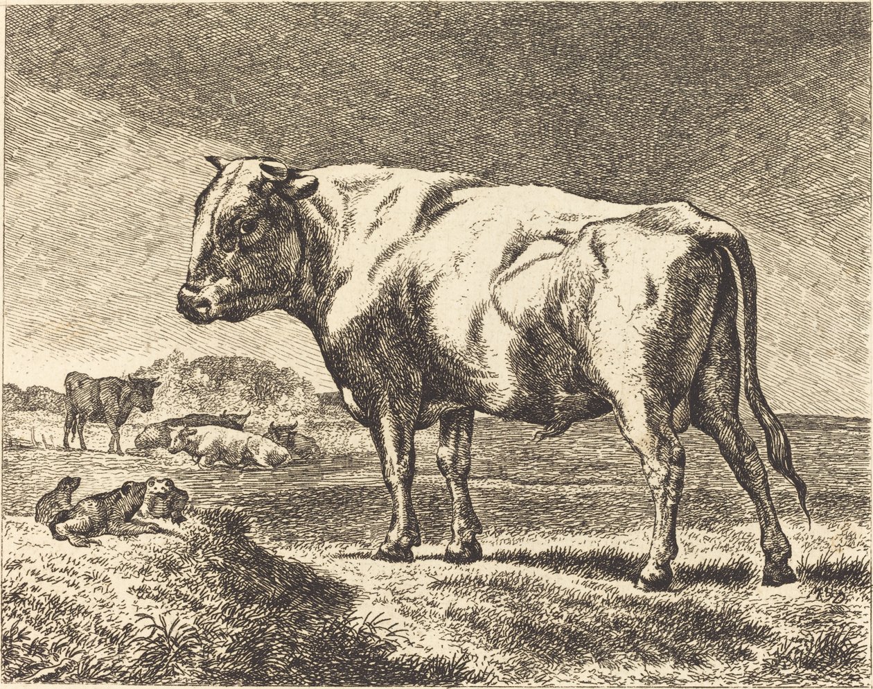 Ko af German 19th Century