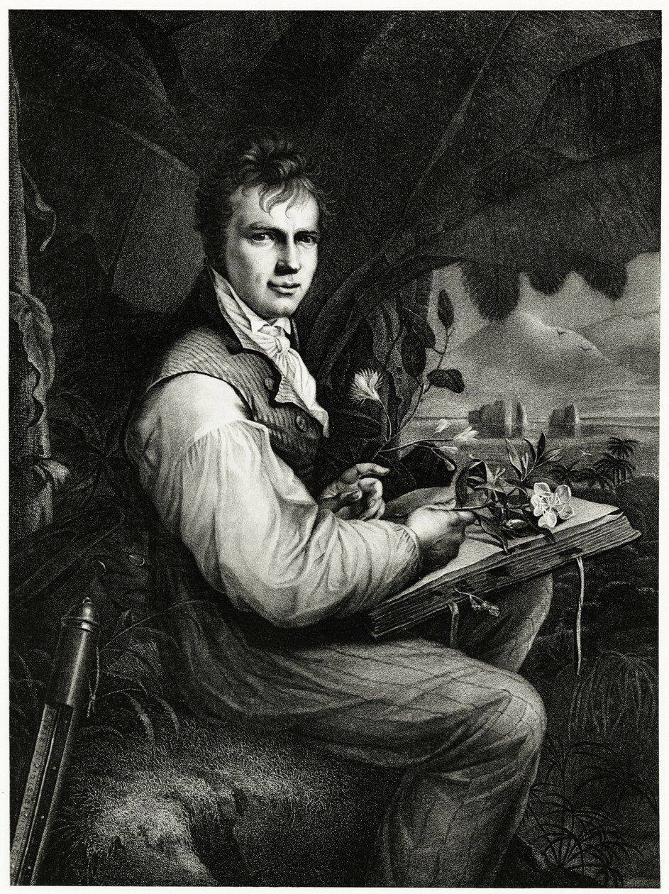 Alexander von Humboldt af German School