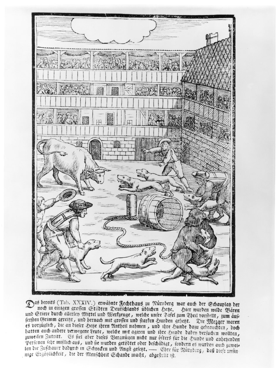 Tyr og bjørn lokker af German School